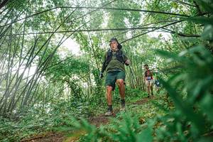 BIB: 
                            <button type="button" onclick="openModal(25116131)" class="btn btn-primary btn-sm float-right btn-popup" data-toggle="modal" data-target=".modal-high-quality">
                        <i class="fas fa-shopping-cart"></i> Add to Cart
                    </button>
                                            <button type="button" onclick="isThisMe(25116131, true)" class="btn btn-success btn-sm float-right btn-popup btn-isme hidden" data-toggle="tooltip" data-placement="bottom" title="นี่คือรูปของคุณใช่ไหม คลิกที่นี่เพื่อเอาเข้าอัลบั้ม">
                        <i class="fas fa-plus"></i> Add to album
                    </button>
                    <button type="button" onclick="isThisMe(25116131, false)" class="btn btn-warning btn-sm float-right btn-popup btn-isnotme hidden">
                        <i class="fas fa-ban"></i> Remove from album
                    </button>